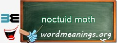 WordMeaning blackboard for noctuid moth